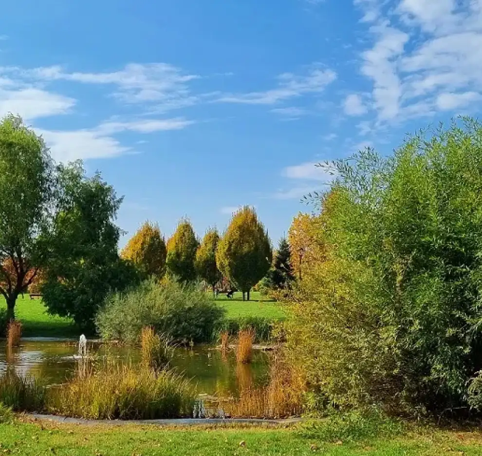 Parcul Dendrologic Chitila, lângă Nouvert